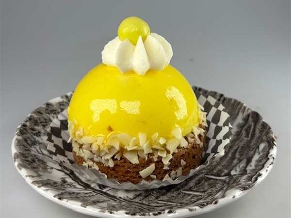 Ananas cocos